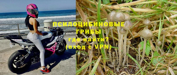 хмурый Алексеевка
