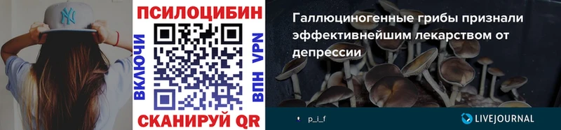 Галлюциногенные грибы Psilocybe  дарк нет как зайти  Абинск  сколько стоит 